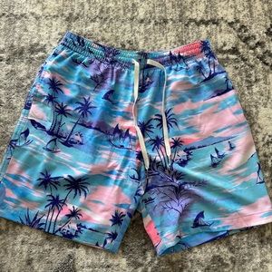 Chubbies palm tree swim trunks